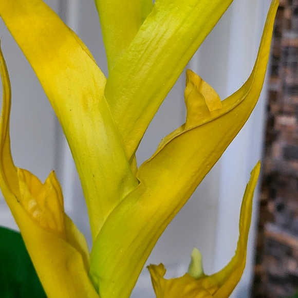 Handmade Home Decor - Picture 6 of 10